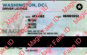 Washington DC 2025 Driver License