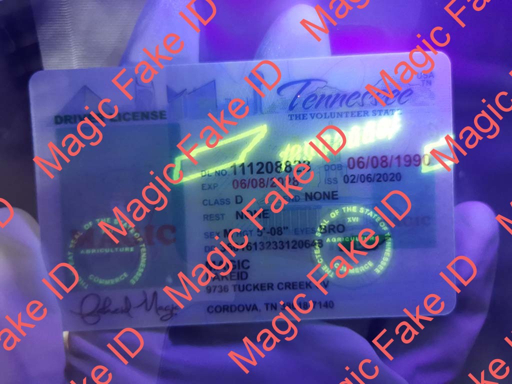 Tennessee Driver License - Image 2