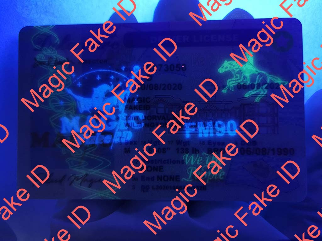 New Delaware Driver License - Image 2