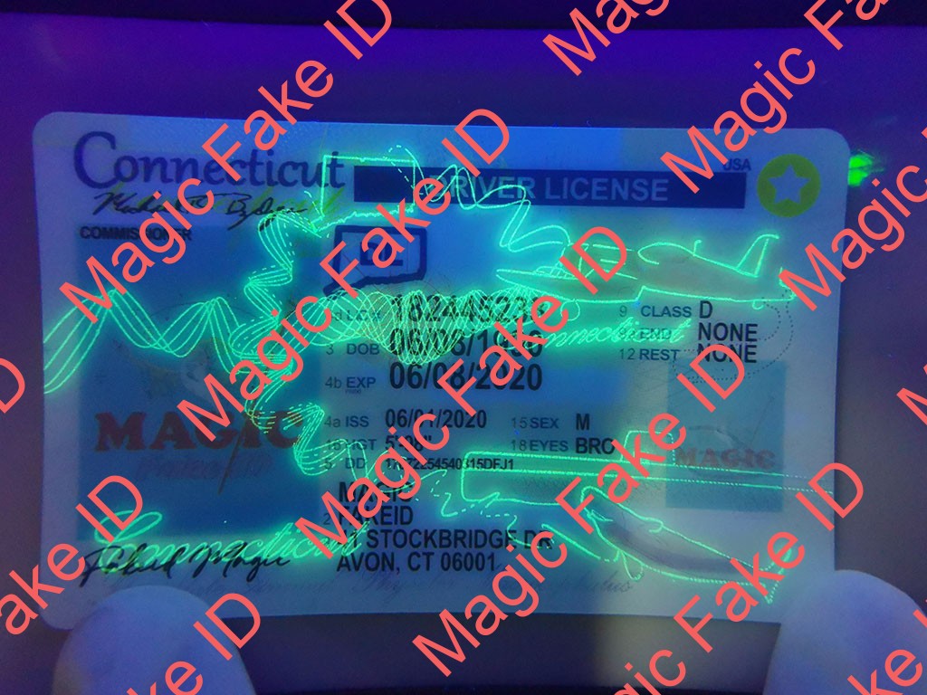 New Connecticut Driver License - Image 3