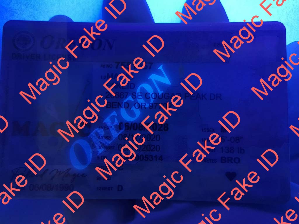 New Oregon Driver License - Image 3
