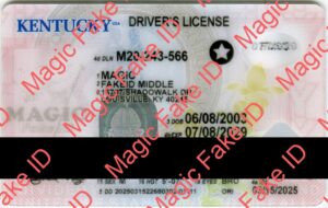 Kentucky Driver License 2024 Polycarbonate - Magic Fake IDs