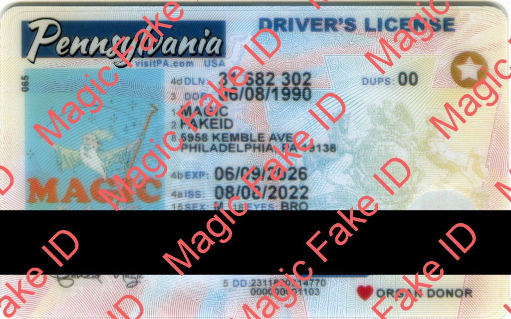 New Pennsylvania Driver License Polycarbonate - Magic Fake IDs