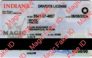 New Indiana Driver License Polycarbonate - Magic Fake IDs