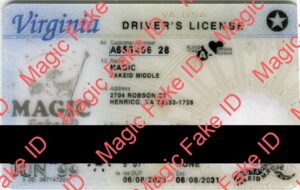 Virginia Driver License Polycarbonate 2023 - Magic Fake IDs